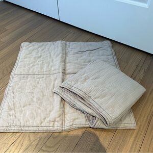 Pottery Barn Teen gray Euro shams